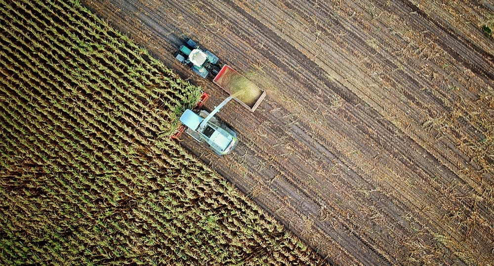 The Importance of Natural Crops on Farms- A Sustainable Future